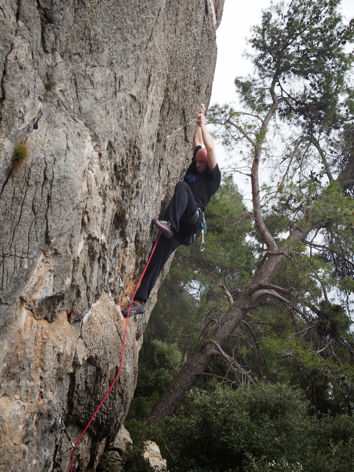 Mykolas before falling into a tree