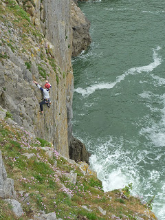 Laura topping out