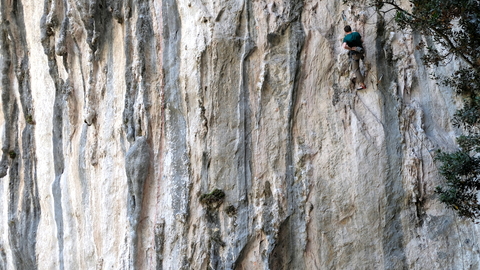 Domas enjoying "Invocando a
Onan" (7a) at Rumenes