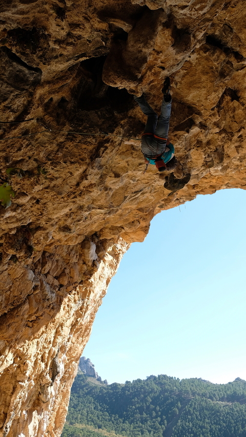 Gedas on "Swimming Through a Shark Attack", 8a+, Poema de Roca