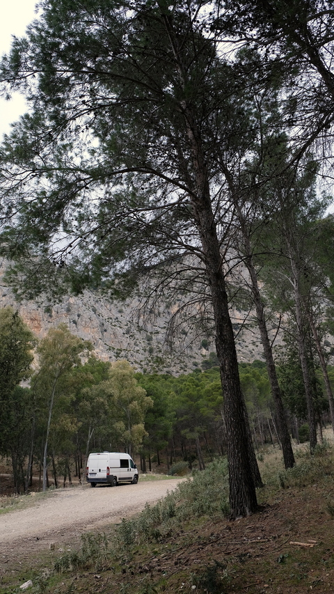 Lonely DZO in the woods of El Chorro
