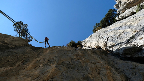 Laura rapelling