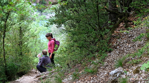 Best buddies enjoying the hike