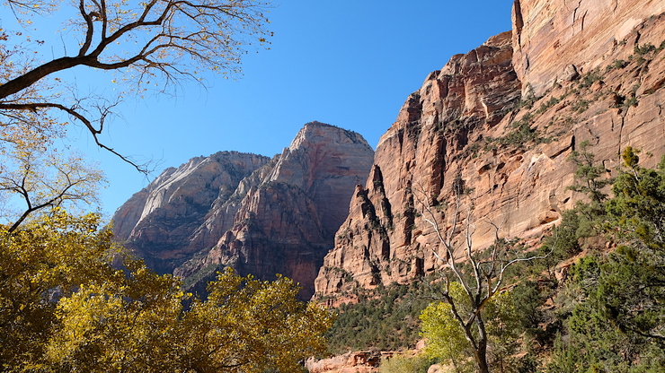 Zion National Park